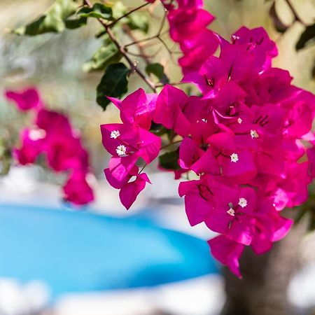 Vila Balaia - Luxury Boutique Villas Albufeira Dış mekan fotoğraf
